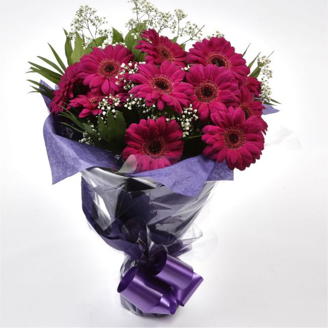 Cerise Glamour Gerberas Flowers