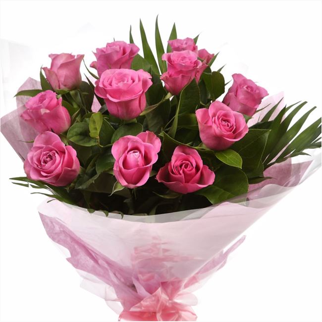 12 Beautiful Roses Bouquet