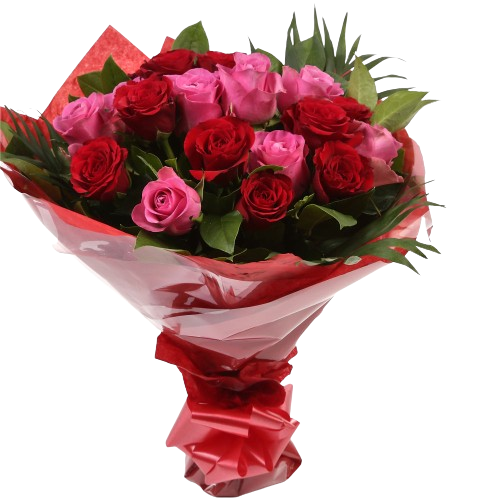 12 Red Pink Blush Rose Bouquet