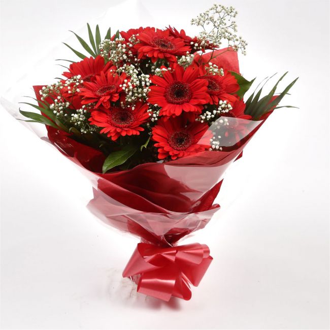 Red Glamour Gerberas